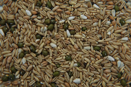 Keimfutter für Kleinsittiche und Exoten